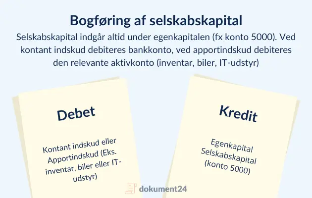 Visning af debit og kredit